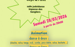Animations dansantes Dansons Ensemble