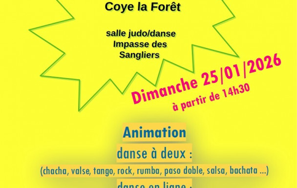 Animations dansantes Dansons Ensemble